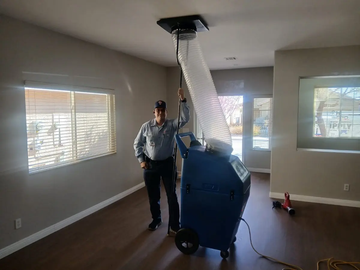 Professional Dryer Vent Cleaning work inside a Orland Park home